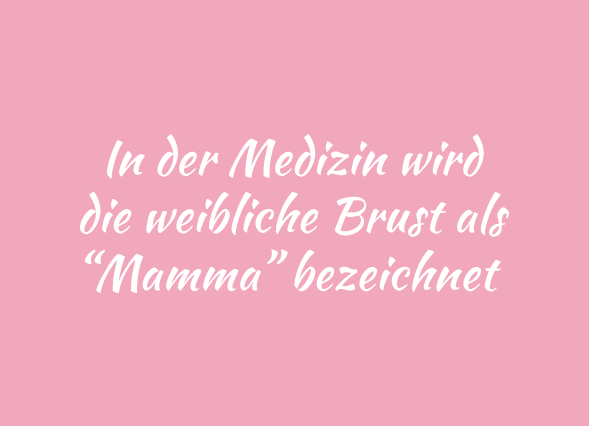 Teaser Mamma rosa