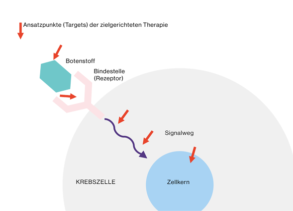 Grafik Zielgerichtete Therapie Wirkweise