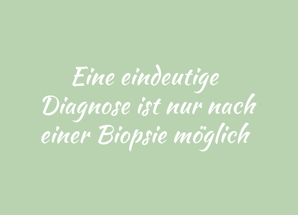 Teaser Biopsie grün